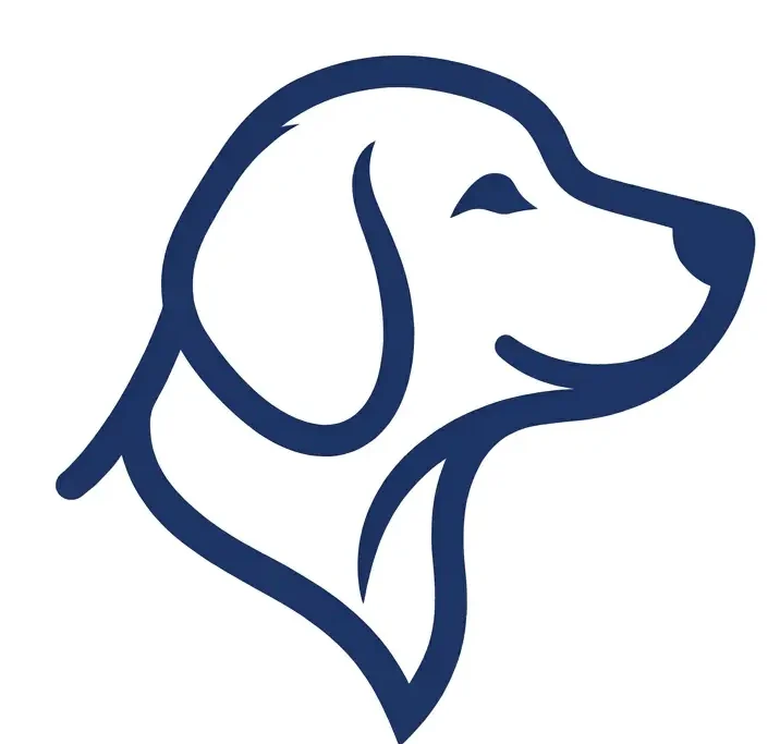 THE DOG INFO ALL ABOUTS CARE OF DOGS.