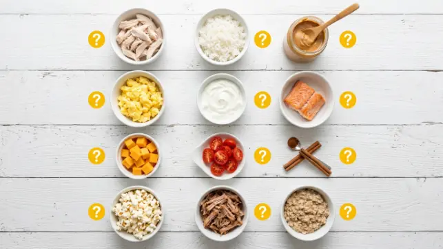 Gray area foods for dogs - chicken, rice, peanut butter, eggs, yogurt, salmon