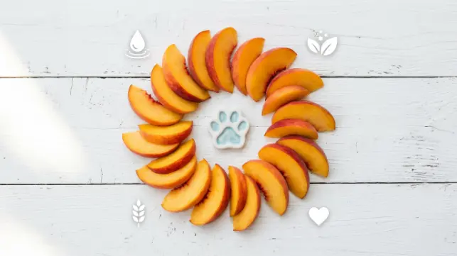 Health benefits of peaches for dogs - vitamins, fiber, hydration, heart health